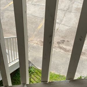 Meet your Posher, Gavin